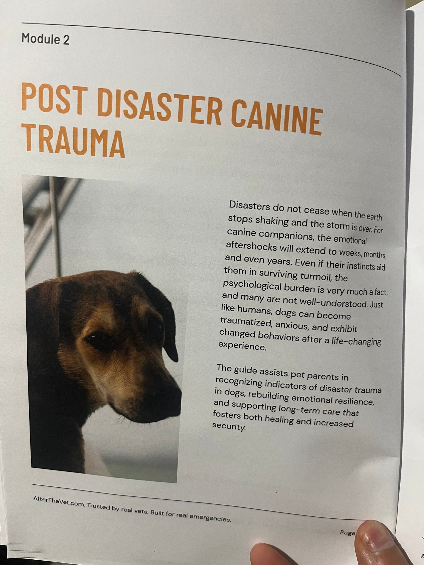 Survival Dog Core Book Vet Certified