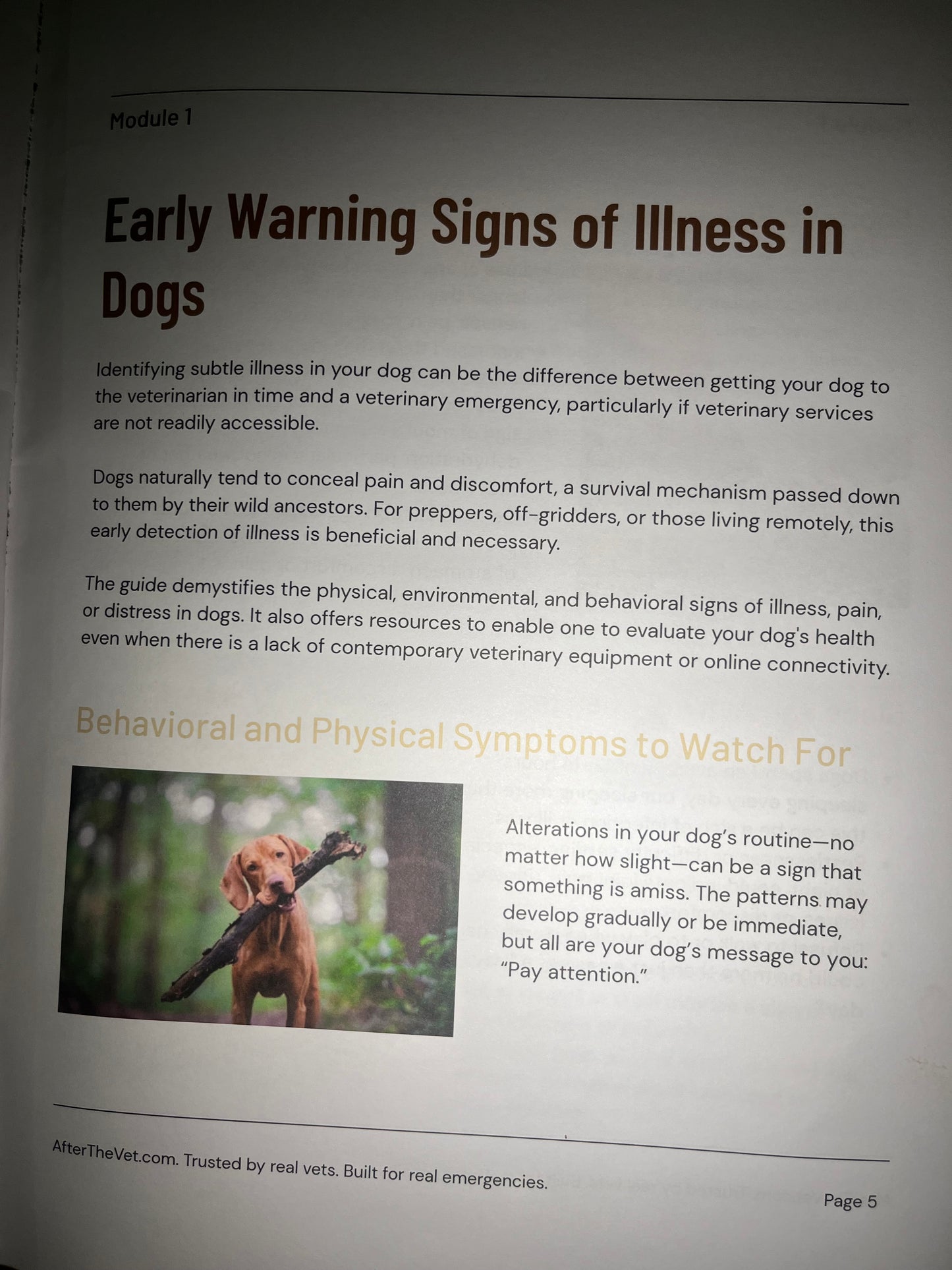 Survival Dog Core Book Vet Certified