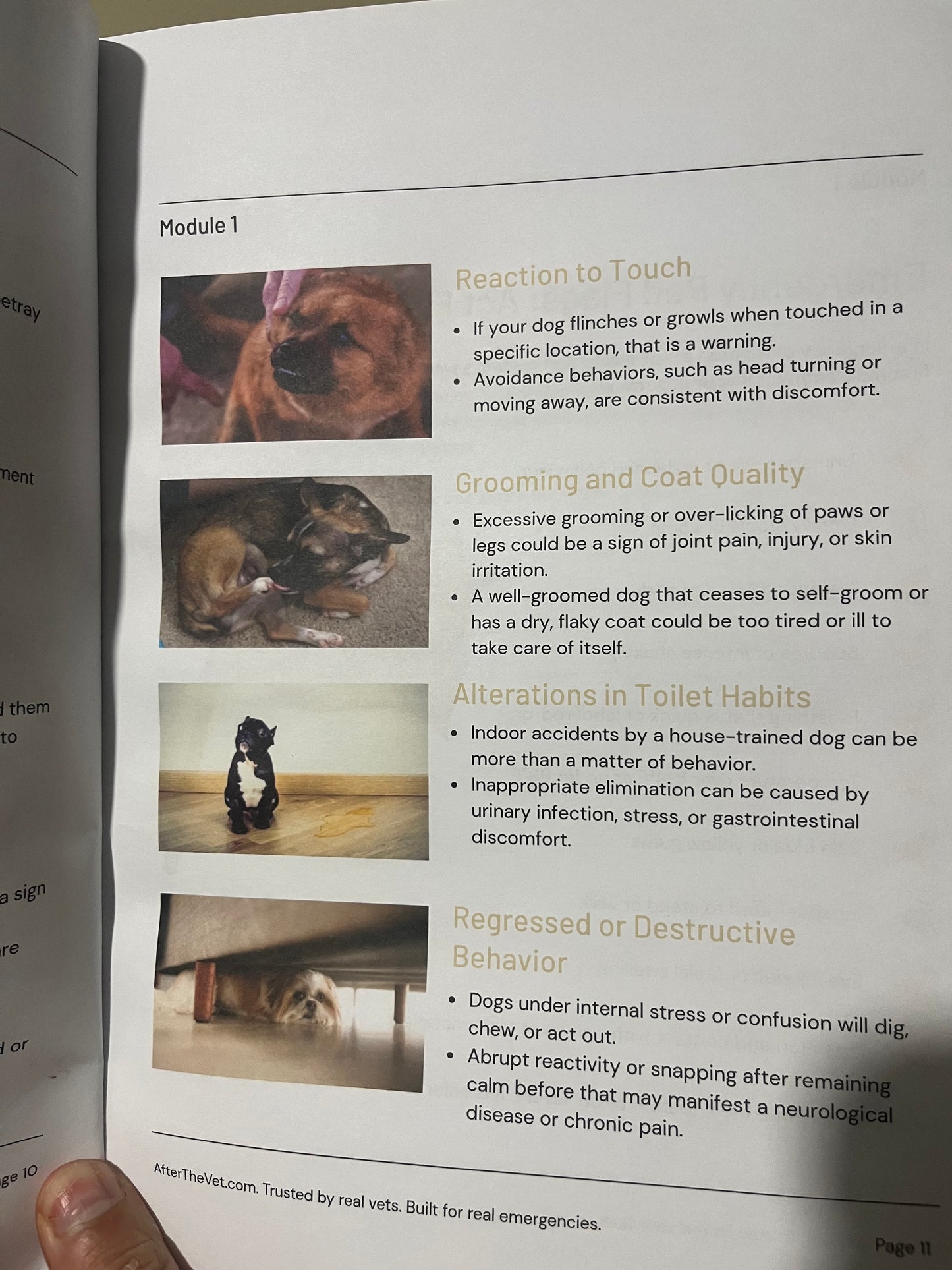 Survival Dog Core Book Vet Certified