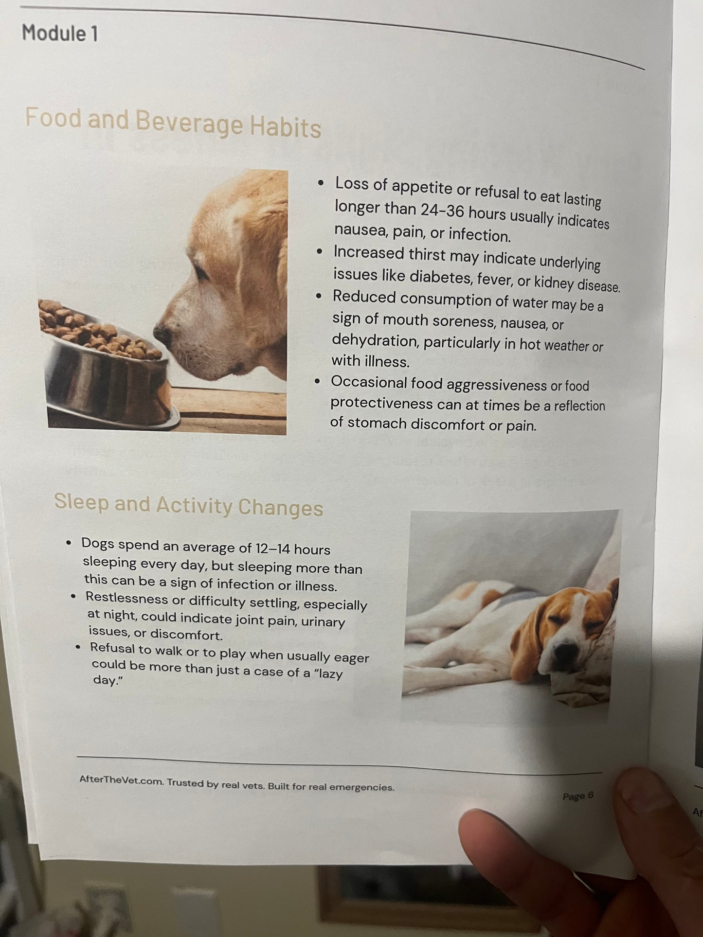Survival Dog Core Book Vet Certified